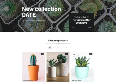 przykłada landing page ze subskrypcją i produktami
